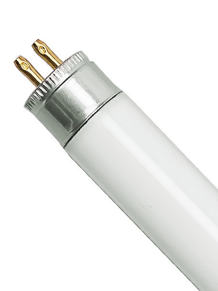Onvervangbaar Sport Begin TL5-14W-835 Fluorescent Lamp - AAMSCO Lighting