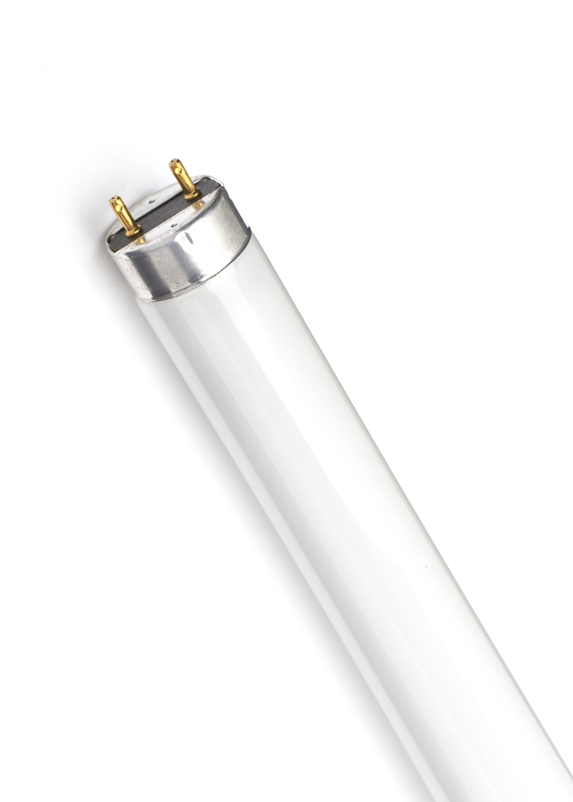 Lampada Neon Fluorescente F58 T8 33/4300K (25 PEZZI) - GE LIGHTING 00029570  - Fazio SRL